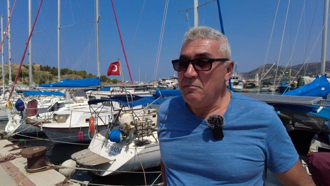 Yüzlercesi sahile vurdu, dokunan anında zehirleniyor! Mavi renklilere sakın yaklaşmayın, ölüm tehlikesi var 12